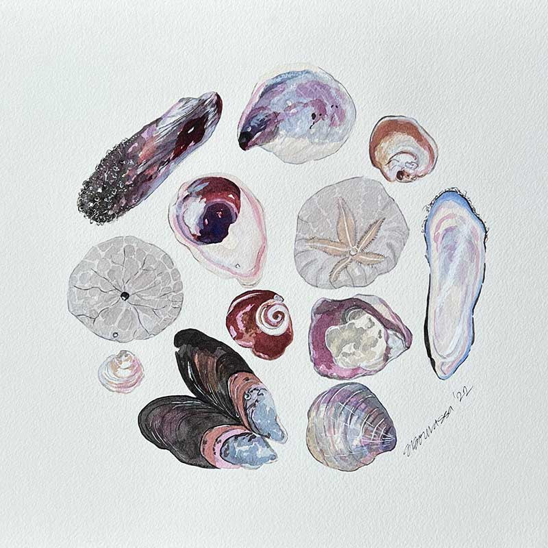 Painting of shells