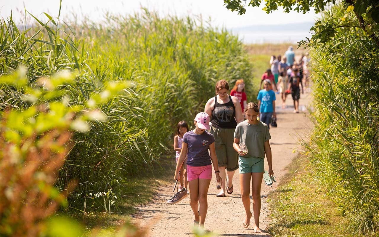 Full-day camp students and instructors walking from the beach to the lawns at Tillinghast Place.