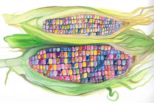 Illustration of glass gem corn cobs.