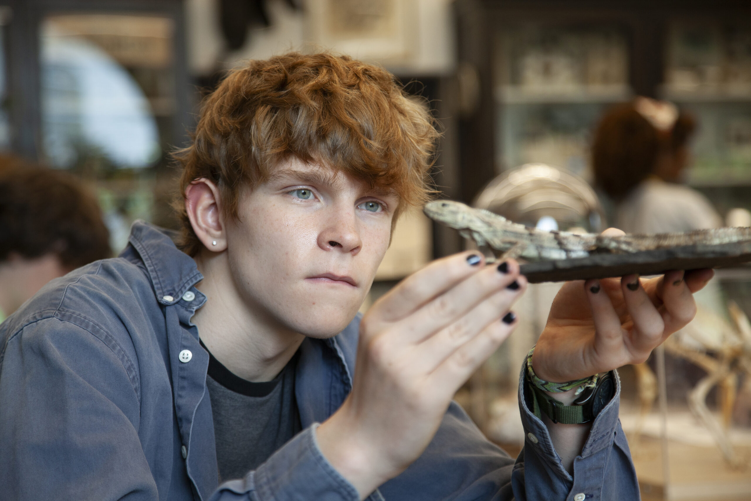 Teenage boy holding a taxidermy reptile specimen for drawing.