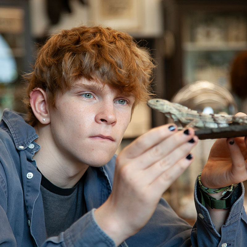 A teenage boy examines a lizard in the Nature Lab.