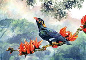 illustration of a bird on a branch with orange flowers